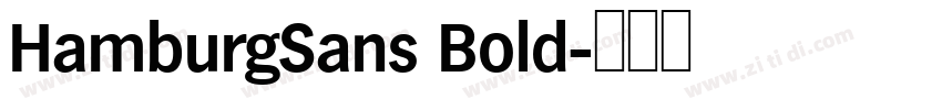 HamburgSans Bold字体转换